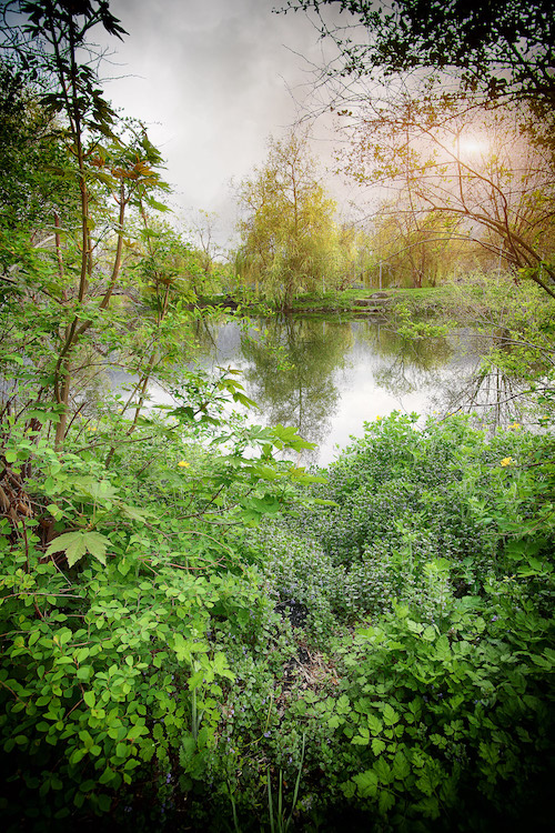 Tranquil Pond With Lush Green Woodland Park in Sunshine iso 14001 sistema ambiental Destrucción de documentación
