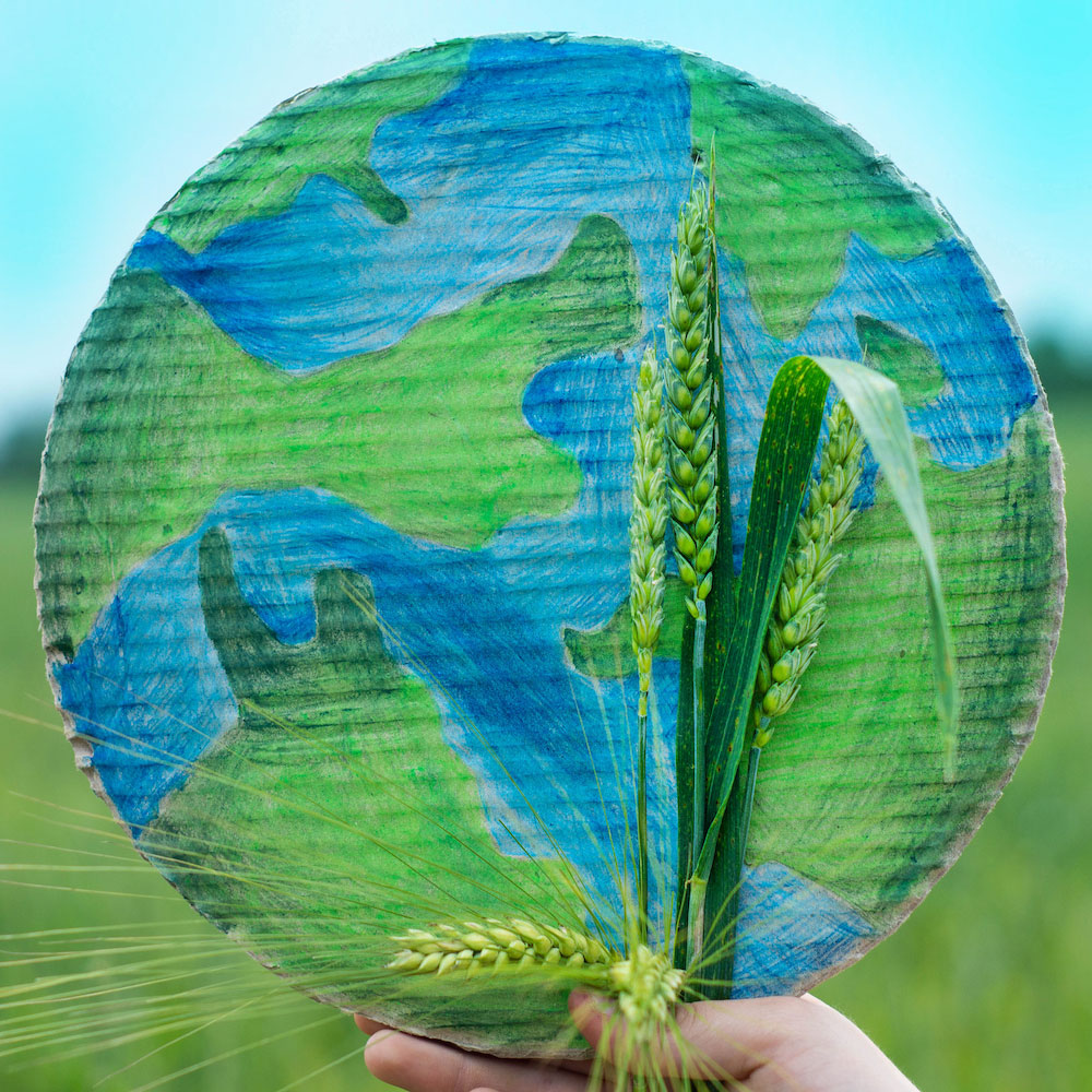 Destrucción de textil sostenible